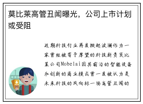 莫比莱高管丑闻曝光，公司上市计划或受阻